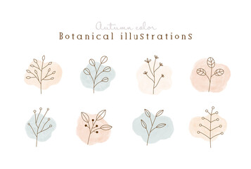 秋色の植物の線画イラストのセット　水彩　シンプル　ボタニカル　ナチュラル　葉　自然　おしゃれ