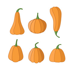 A set of cartoon pumpkins. Pumpkins of different shapes, vector illustration of the autumn vegetable harvest.