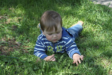 little child boy playing in the grass