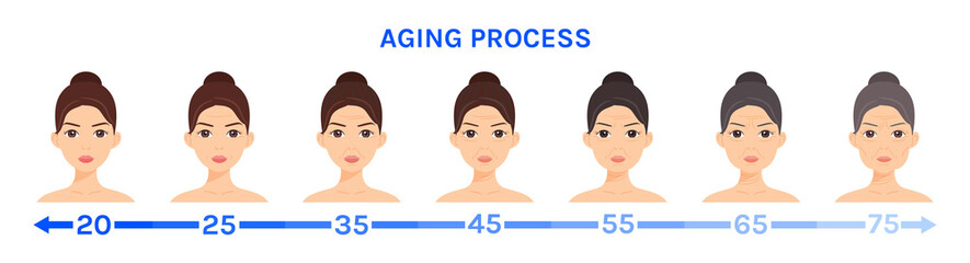 Process of Growing up a Woman. Isolated Head of a Young, Middle and Adult Girl. Elderly Lady. Wrinkles on Face. Skin Tightening. Anti Aging Procedures. Flat cartoon style. White background. Vector.
