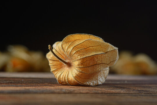 Background of Aguaymanto Peruvian GroundCherry