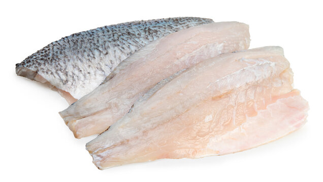Fresh white striped bass fish isolated on white background, White striped bass fish isolated on white with clipping path.