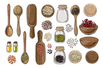 Vector food icons. Colored sketch of food products. Spices, nuts, herbs, beans, cereals, oil, spice jars, wooden spoons. - obrazy, fototapety, plakaty
