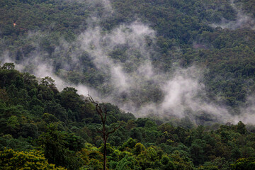 Mountain scenery after the rain with mist rising from the mountain see white vapor