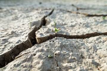 Low angle close-up of dry and cracked land