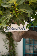 Home Made Rustic Restaurant Sign on a Fig Tree in Spain