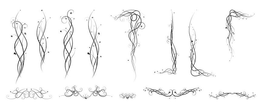 ornament elements grapes climbing plant. sketch