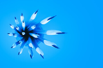 Top view of many pencils in cup, wide angle view on blue background