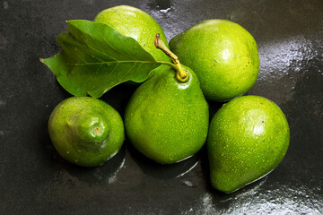 Fresh Raw avocado plucked from tree