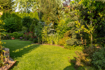beautifully designed garden with a variety of flowers, trees and shrubs