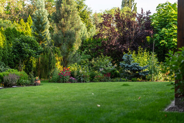 beautifully designed garden with a variety of flowers, trees and shrubs