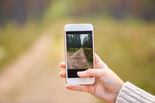 technology, season and people concept - hand using smartphone to take picture in forest