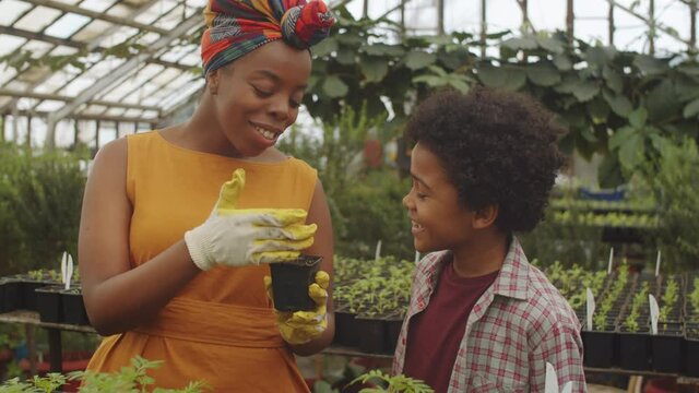 Cheerful Afro-American woman explaining her little son how to grow plants in greenhouse farm