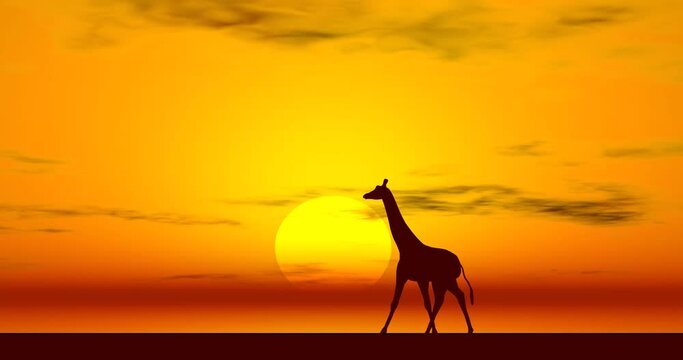 Giraffes walking on the desert 2d animation cartoon