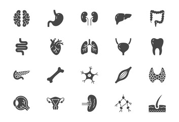 Organs flat icons. Vector illustration include icon - muscle, liver, stomach, kidney, urinary, eyeball, bone, lung, neuron glyph silhouette pictogram for human anatomy. Black color. - obrazy, fototapety, plakaty