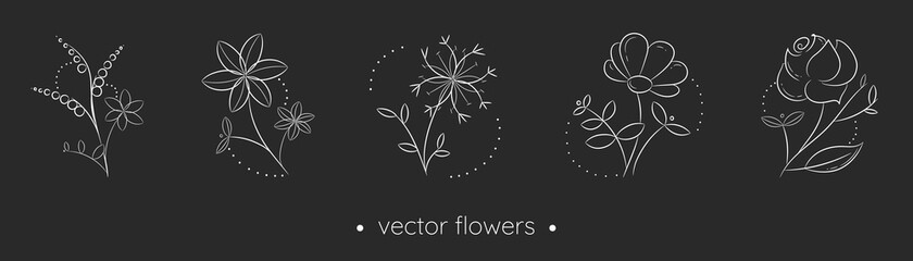 Hand drawn white flowers and leaves collection. Black and white vector drawings in linear style. Minimalism in nature