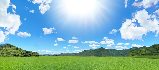 Obraz na płótnie Canvas 真っ青な透き通った空と草原と山　パノラマ