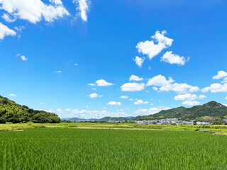 真っ青な透き通った空と草原と山