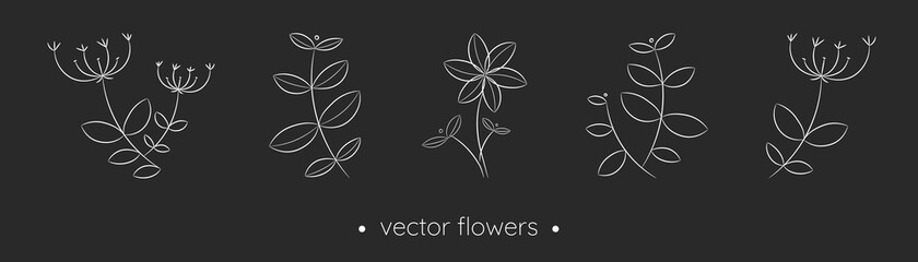 Hand drawn white flowers and leaves collection. Black and white vector drawings in linear style. Minimalism in nature