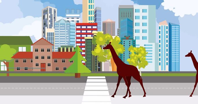 Giraffes walking on the city street 2d animation cartoon