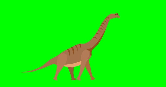 Diplodocus dinosaur 2d looping animation on green screen