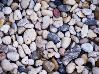 The pattern of rocks in the garden