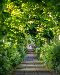 Birdcage Walk