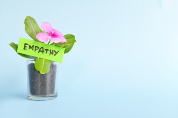 	
Grow and nurture empathy concept. Plant on pot with flower on blue background with copy space.	
