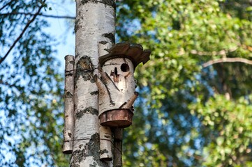 Birdhouse made of birch boards and birch log