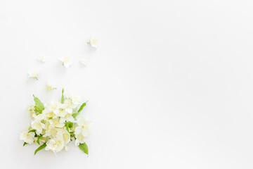 Top view of blossom jasmine flowers. Floral pattern flat lay
