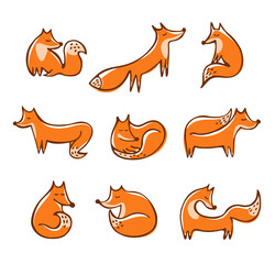 Set of cute red doodle foxes in various poses isolated on white background. 