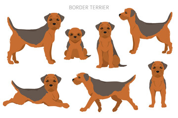 Border terrier clipart. Different coat colors and poses set - obrazy, fototapety, plakaty