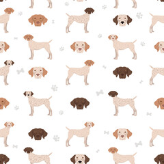 Bourbonnais pointer seamless pattern. Different coat colors and poses set