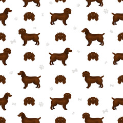 Boykin spaniel seamless pattern. Different coat colors and poses set