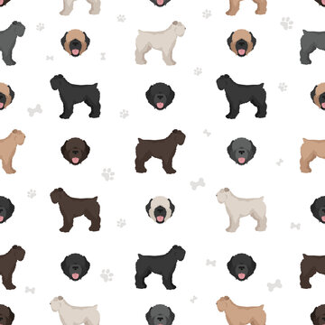 Bouvier des Flandres seamless pattern. Different coat colors and poses set