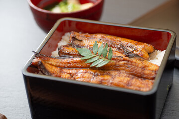 おいしいうな重
