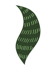 floral leaf representation