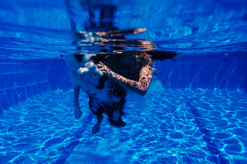 caucasian woman and border collie dog swimming in pool. underwater view. Summer time and vacation concept