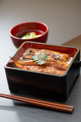 おいしいうな重