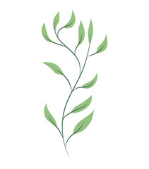 garden leaf illustration