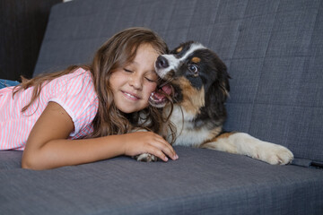 Playful happy Australian shepherd dog lying play with owner girl 