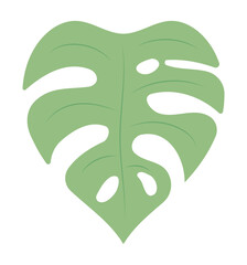 green monstera design