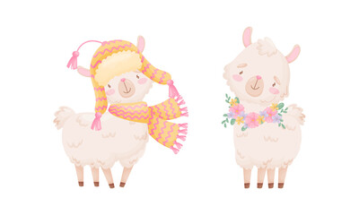 Cute Llama or Alpaca Wearing Warm Knitted Hat and Scarf Vector Set