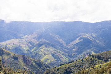 Fototapeta na wymiar mountains of the coffee cultural landscape in Colombia