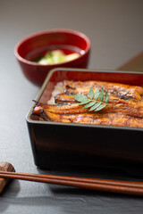 おいしいうな重