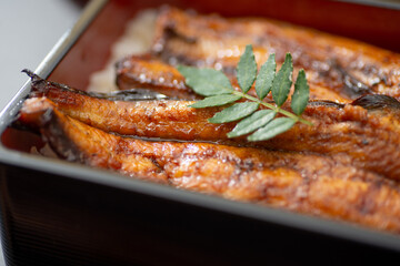 おいしいうな重