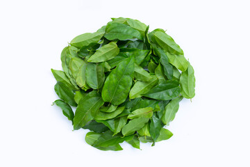 Fresh tiliacora triandra green leaves