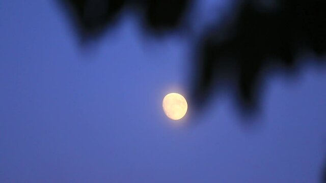 おぼろ月 Stock ビデオ : HD および 4K のビデオクリップ 56 本