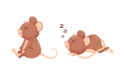 Cute Mouse Character Sitting and Sleeping Vector Set