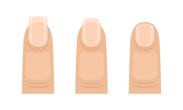 Female Finger with Nail Form and Shapes Vector Set